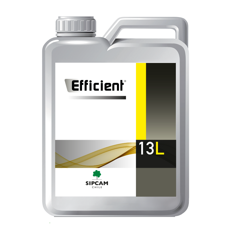 EFFICIENT - Sipcam Chile